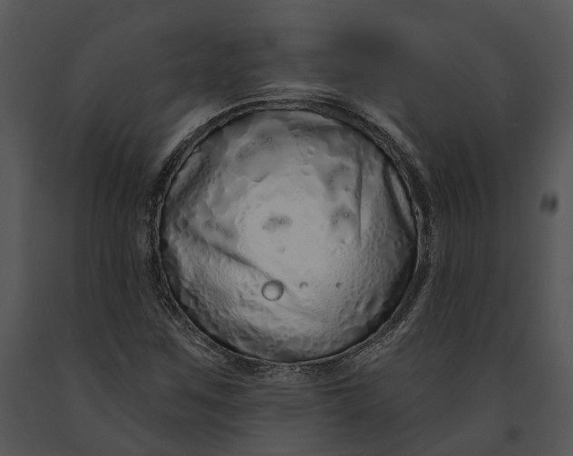 X0000091191259200708301230