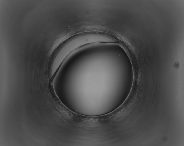 X0000091191261200708301230