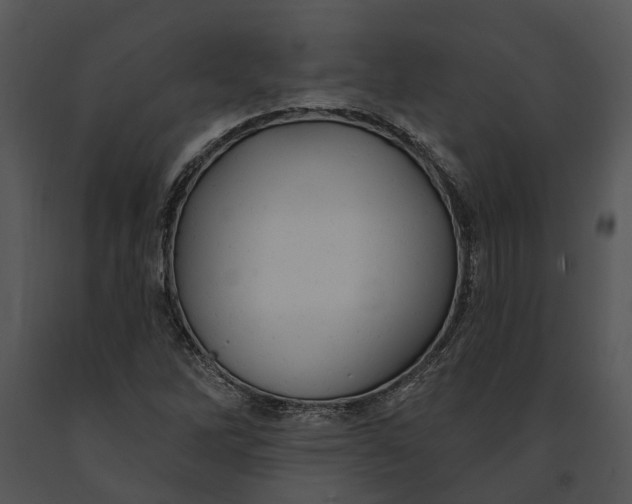 X0000091191262200708301229