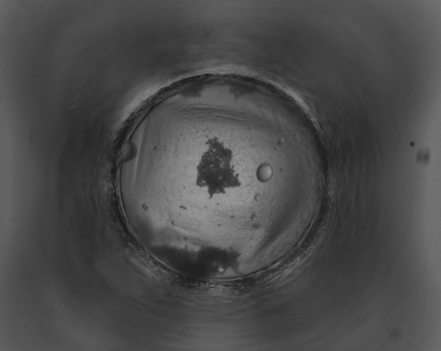 X0000091191263200708301229