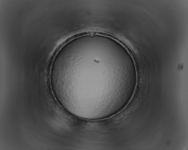 X0000091191264200708301229