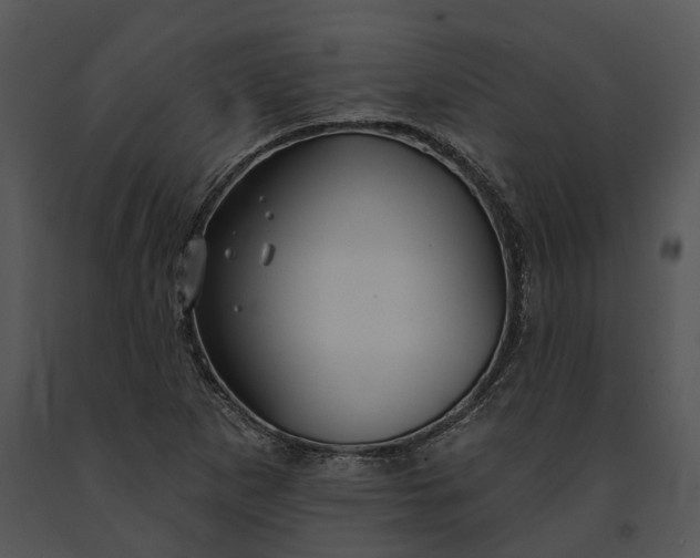 X0000091191265200708301229