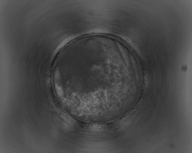 X0000091191266200708301229