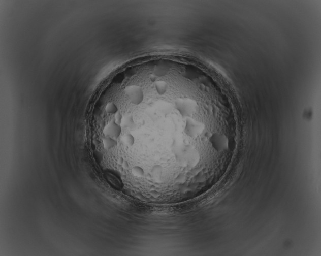 X0000091191267200708301229