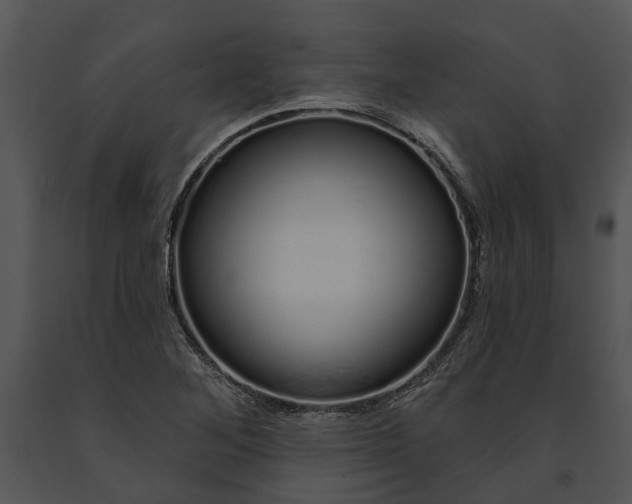 X0000091191268200708301229