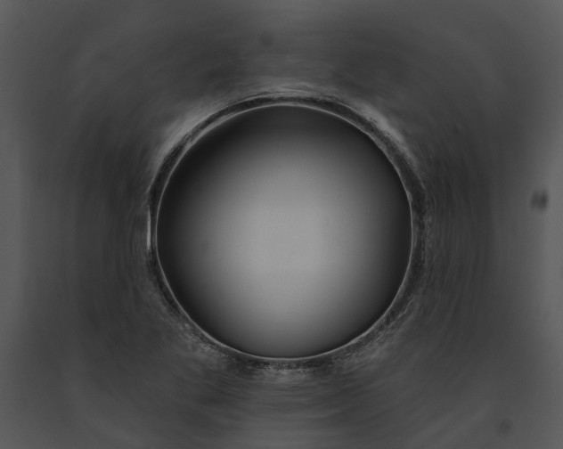 X0000091191269200708301229