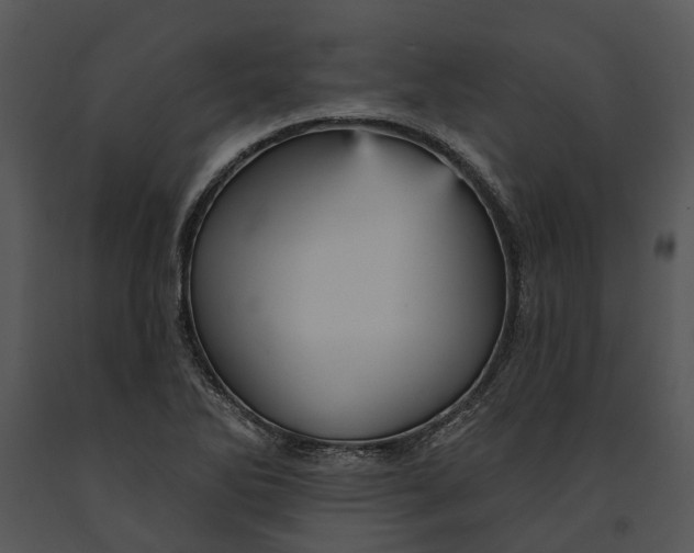 X0000091191270200708301229