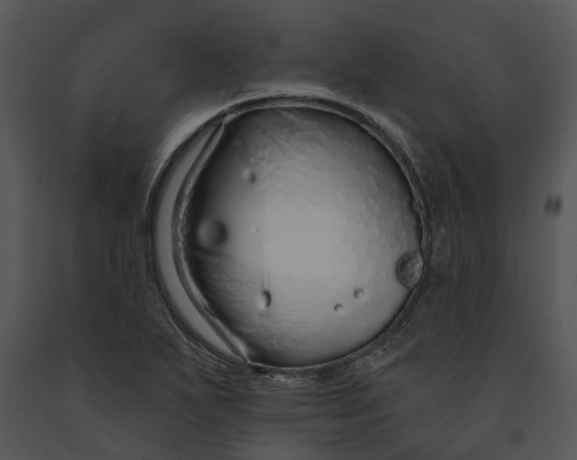 X0000091191271200708301229