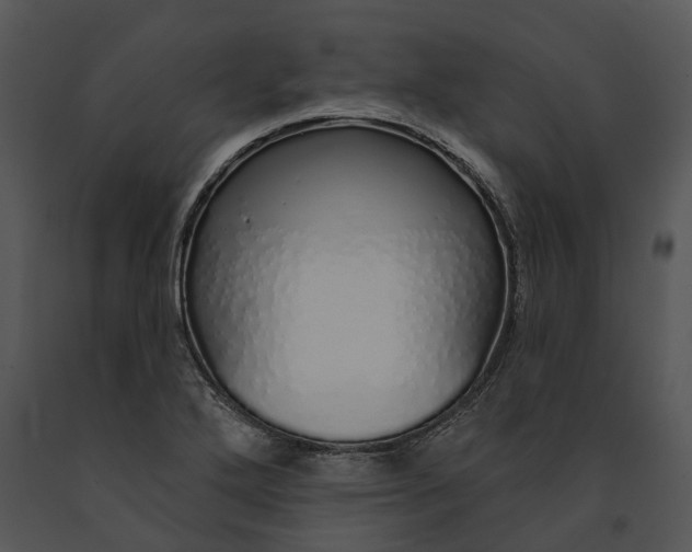 X0000091191272200708301229