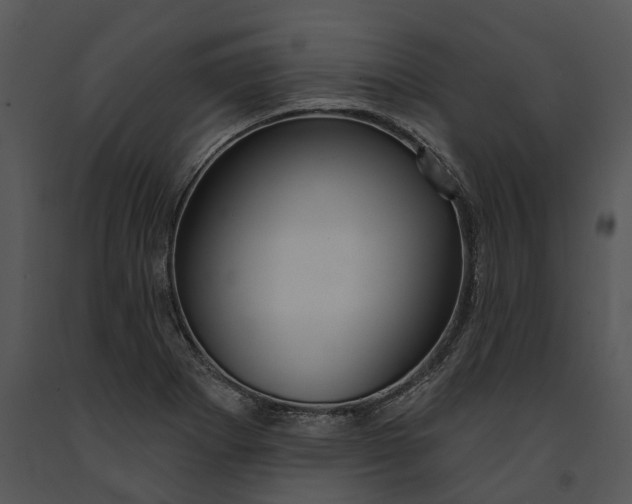 X0000091191273200708301229