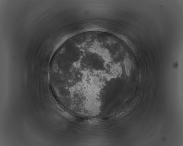 X0000091191274200708301229