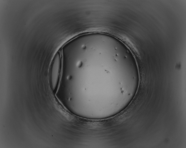 X0000091191276200708301229