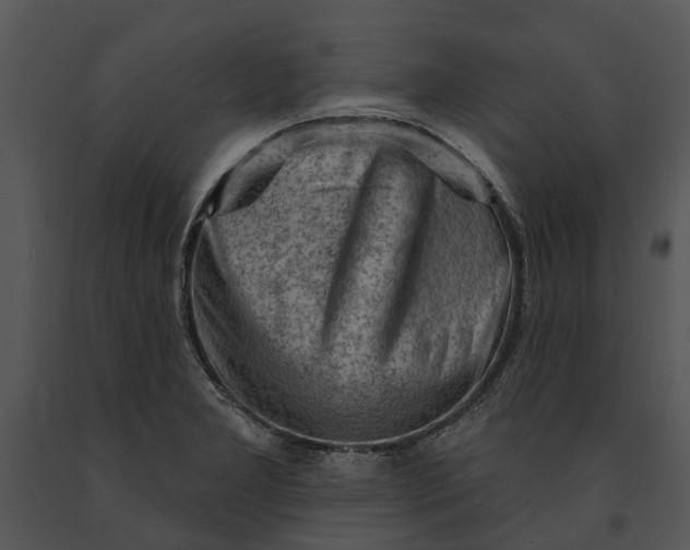 X0000091191277200708301229