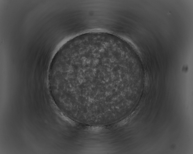 X0000091191278200708301229