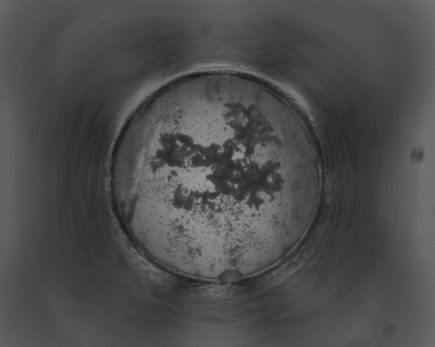 X0000091191279200708301229