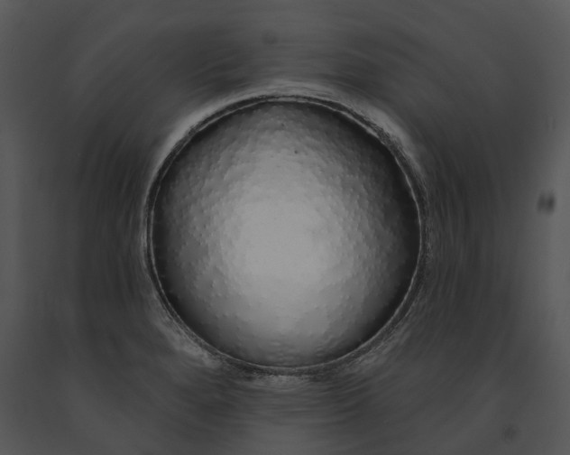 X0000091191280200708301229