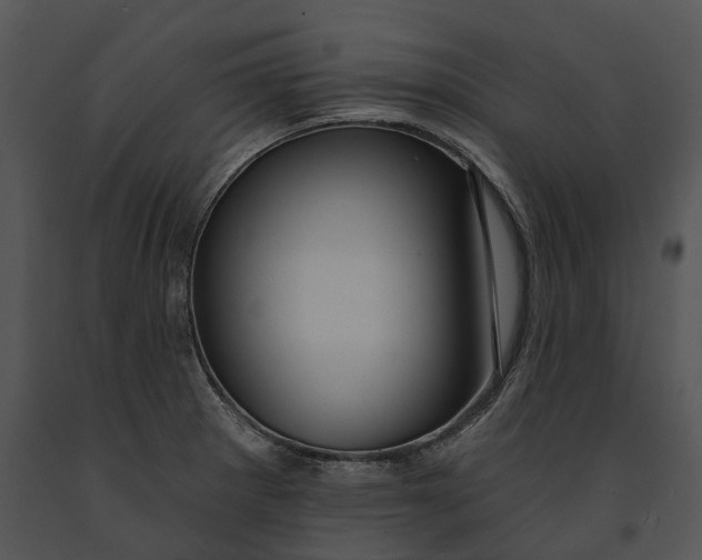 X0000091191281200708301229