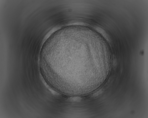 X0000091191282200708301229