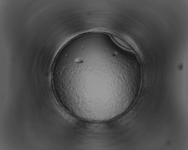 X0000091191284200708301229