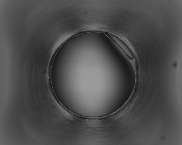 X0000091191285200708301229