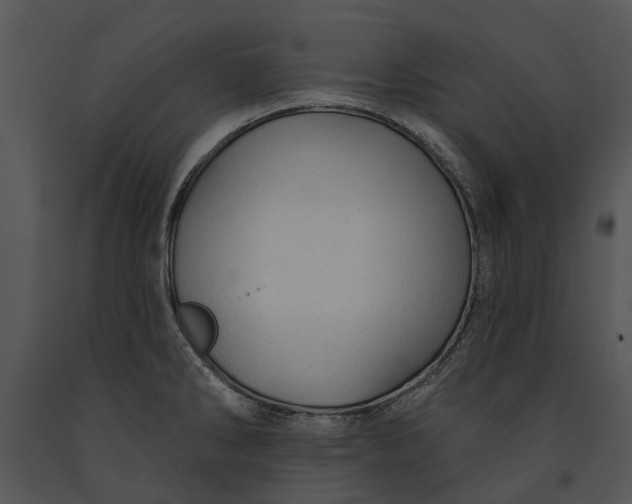 X0000091191286200708301229