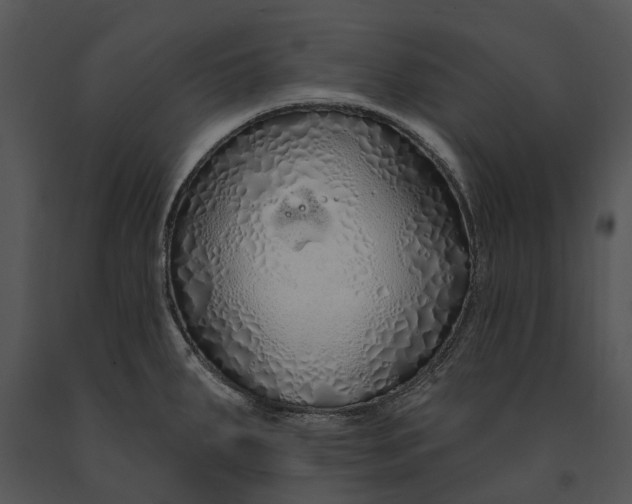 X0000091191287200708301229