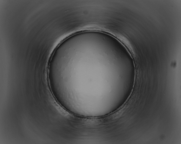 X0000091191288200708301229