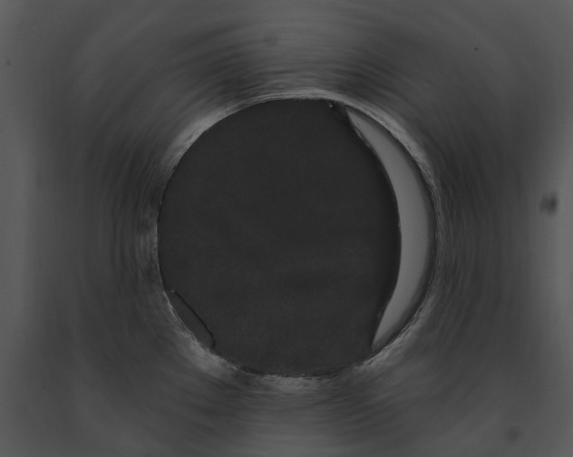 X0000091191289200708301229