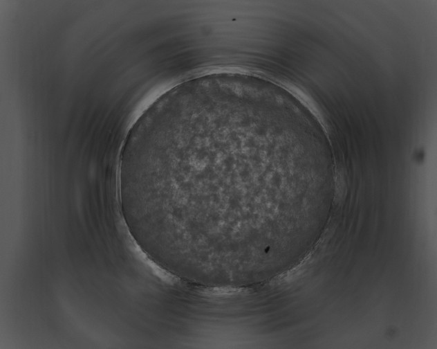 X0000091191290200708301229