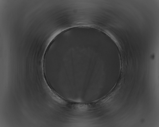 X0000091191291200708301229