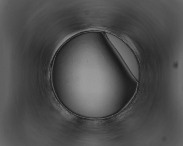 X0000091191292200708301229