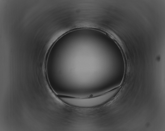 X0000091191293200708301229