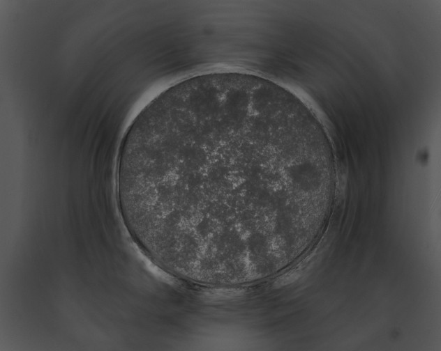 X0000091191294200708301229