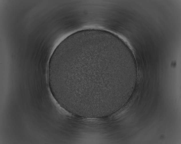 X0000091191295200708301229