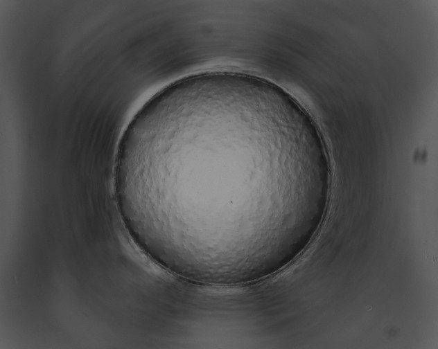 X0000091191296200708301229