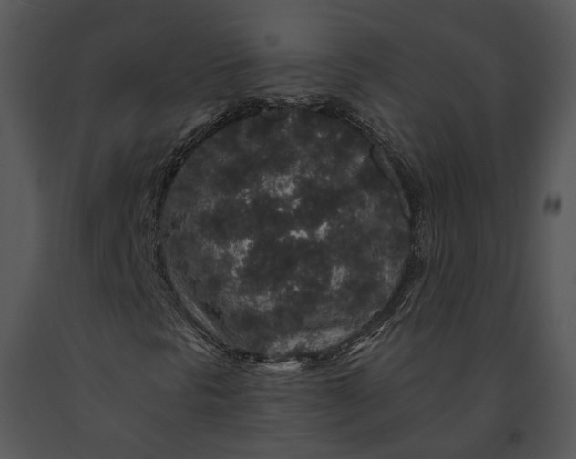 X0000091191297200708301228