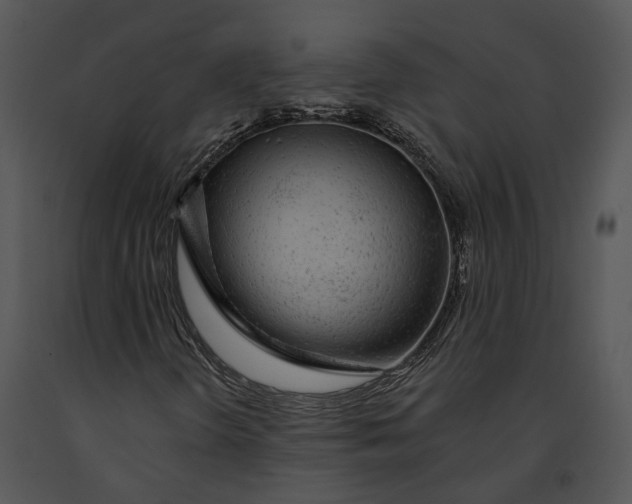 X0000091191298200708301228