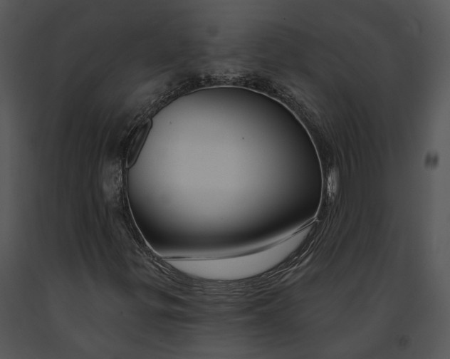 X0000091191299200708301228