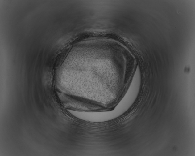 X0000091191300200708301228