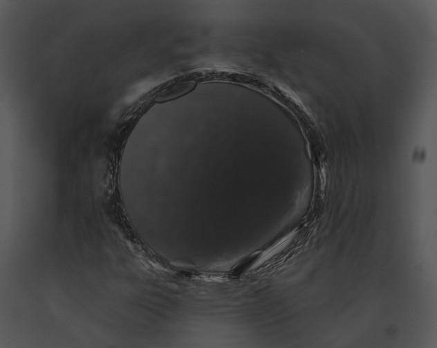 X0000091191303200708301228