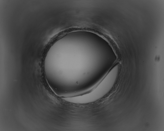 X0000091191304200708301228