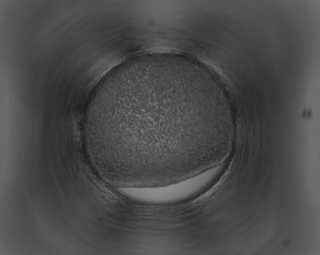 X0000091191305200708301228