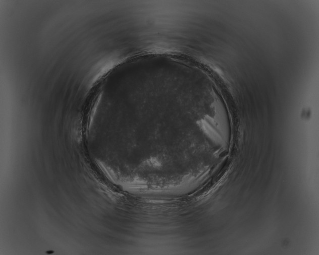 X0000091191306200708301228