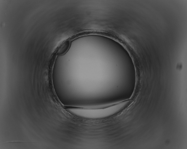 X0000091191307200708301228