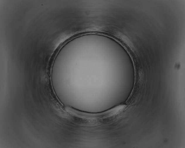 X0000091191308200708301228