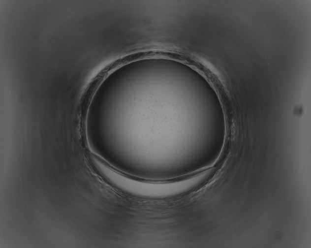 X0000091191310200708301228