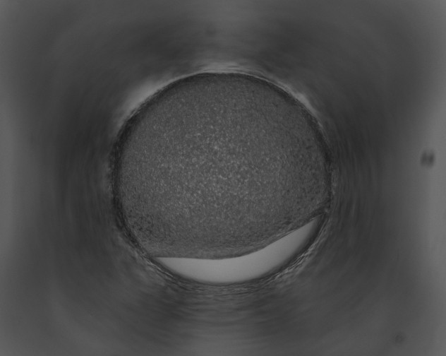 X0000091191311200708301228