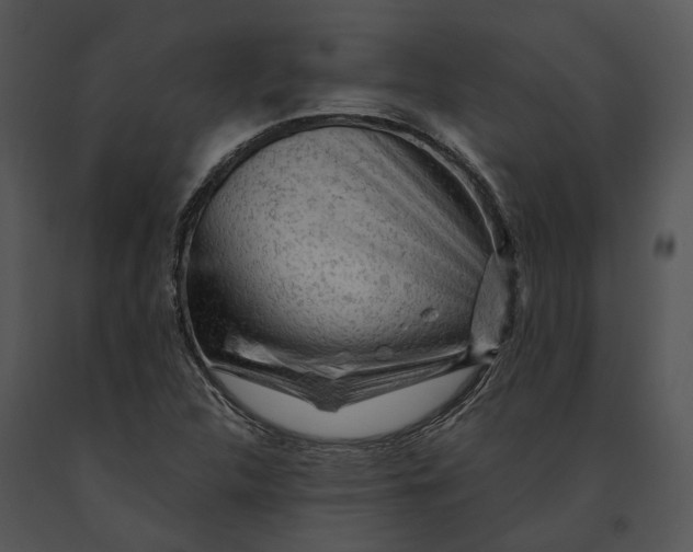 X0000091191312200708301228