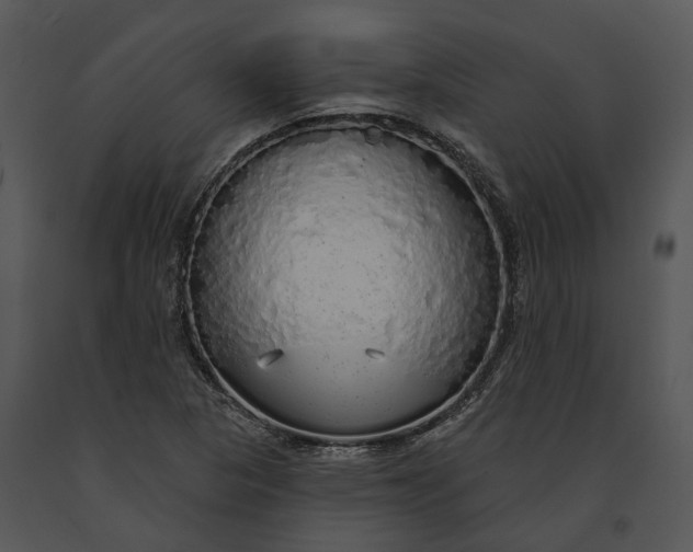 X0000091191313200708301229