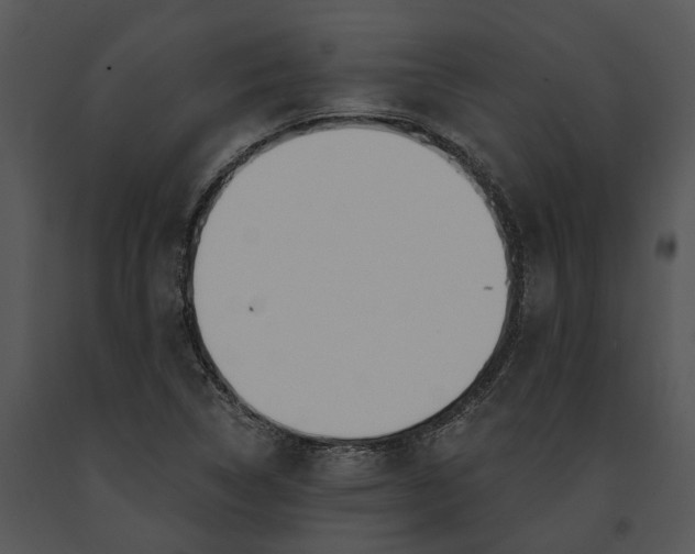 X0000091191314200708301229